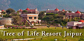 Tree of Life Resort Jaipur