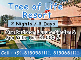 Tree of Life Resort Jaipur