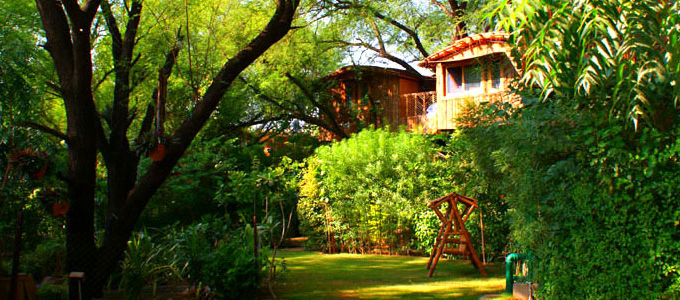 Tree House Resort Jaipur