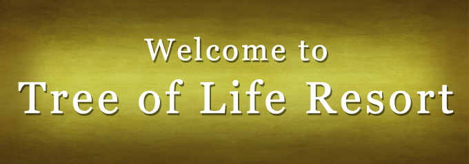 Tree of Life Resort Jaipur